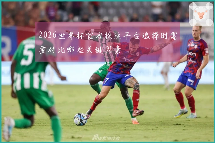 2026世界杯官方投注平台选择时需要对比哪些关键因素