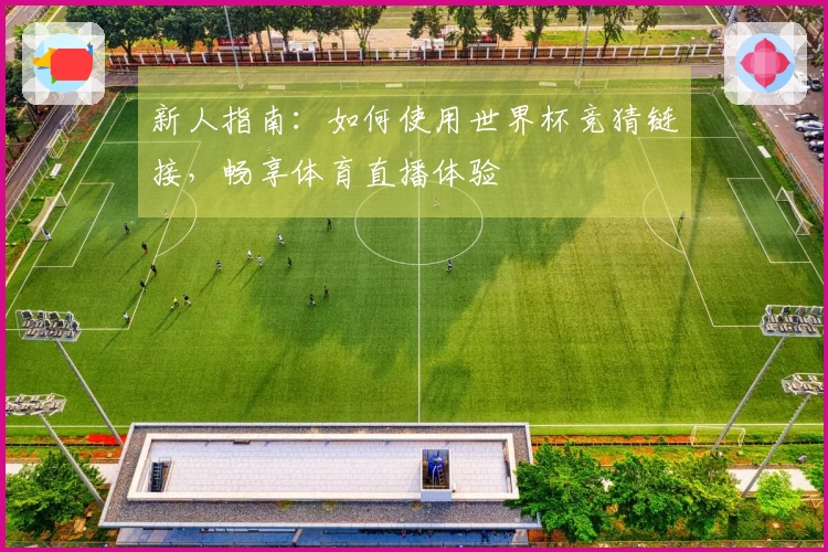新人指南：如何使用世界杯竞猜链接，畅享体育直播体验