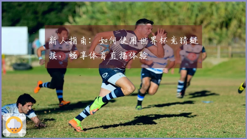新人指南：如何使用世界杯竞猜链接，畅享体育直播体验