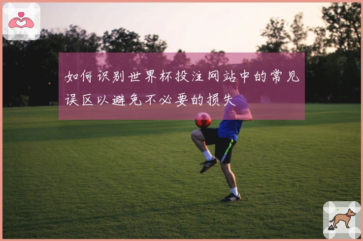 如何识别世界杯投注网站中的常见误区以避免不必要的损失