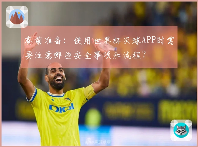 赛前准备：使用世界杯买球APP时需要注意哪些安全事项和流程？