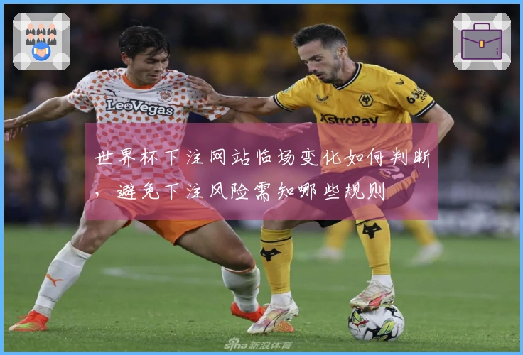 世界杯下注网站临场变化如何判断，避免下注风险需知哪些规则