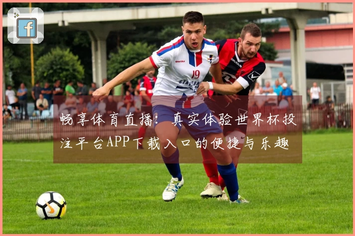 畅享体育直播:真实体验世界杯投注平台APP下载入口的便捷与乐趣