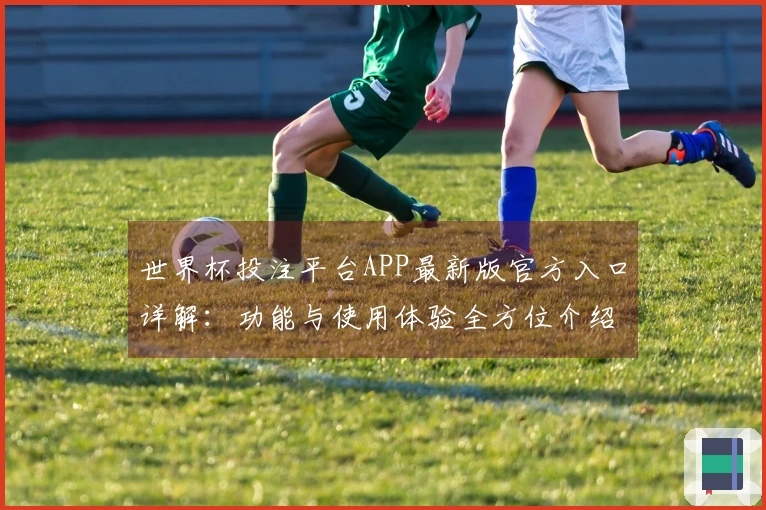 世界杯投注平台APP最新版官方入口详解：功能与使用体验全方位介绍