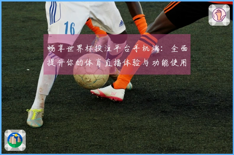 畅享世界杯投注平台手机端：全面提升你的体育直播体验与功能使用指南