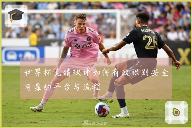 世界杯竞猜软件如何有效识别安全可靠的平台与流程