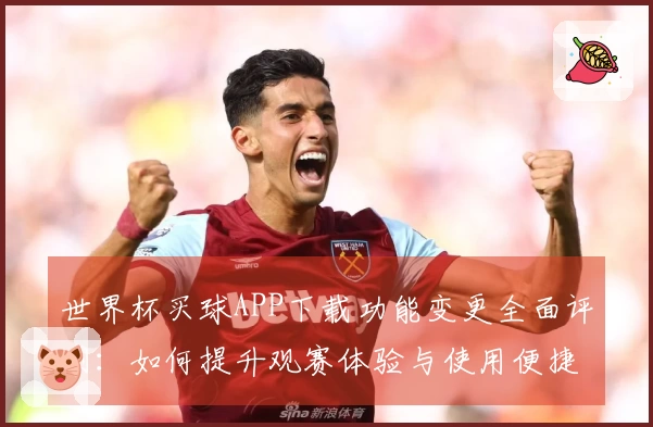 世界杯买球APP下载功能变更全面评测：如何提升观赛体验与使用便捷性